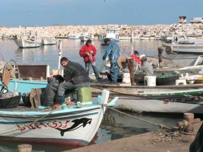 سوق السمك في العبدة