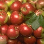 red-green-apples1-4001